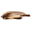 Pernil por libra - Image 2